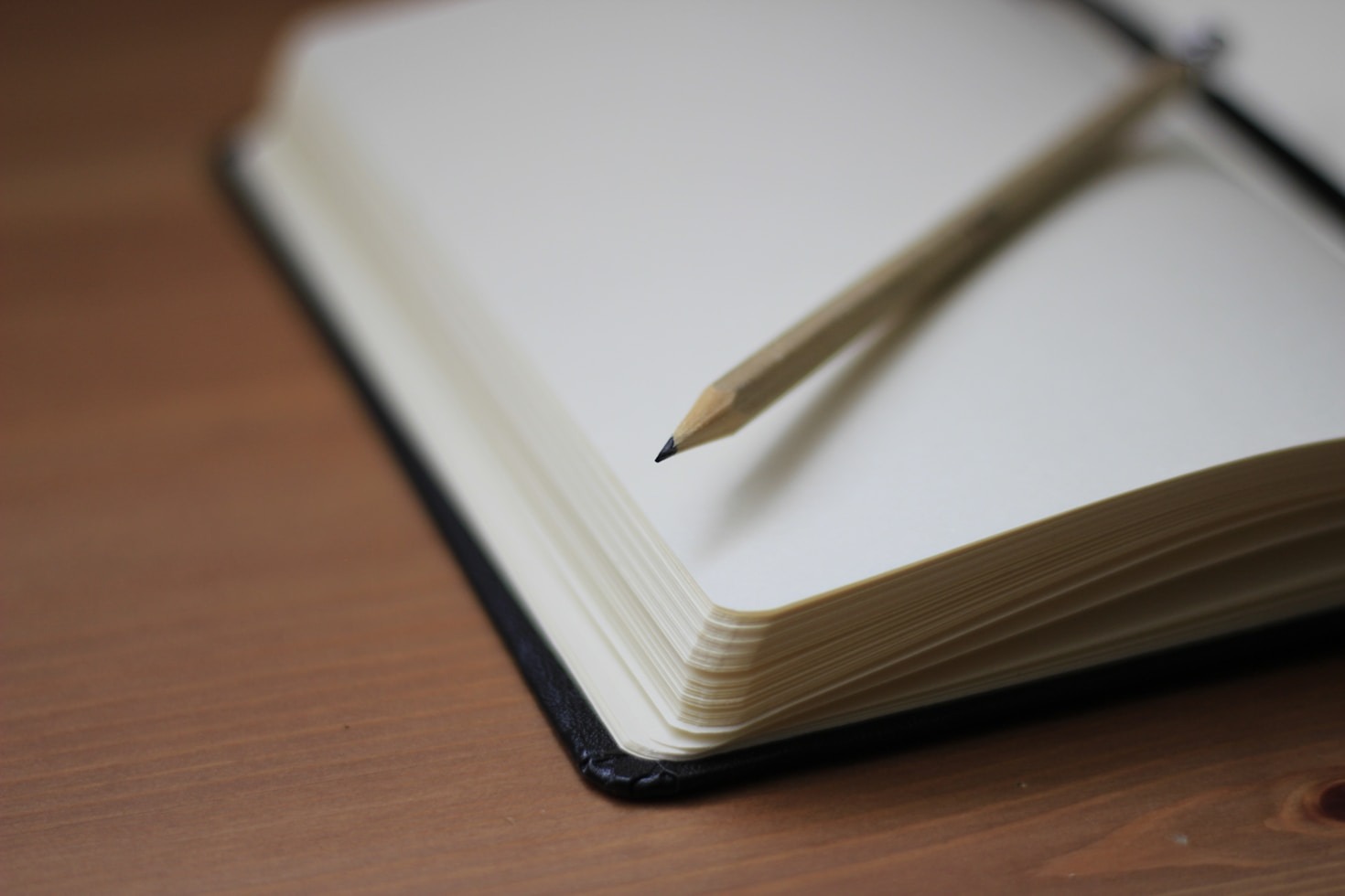 My Favorite Reads and Why They Matter